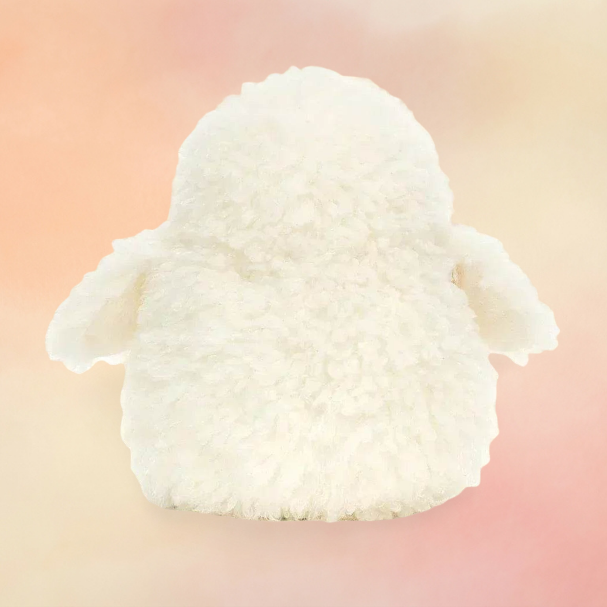 Apollo Owl | Birds Collection