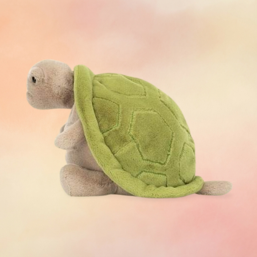 Timmy Turtle | Amphibians & Reptiles Collection