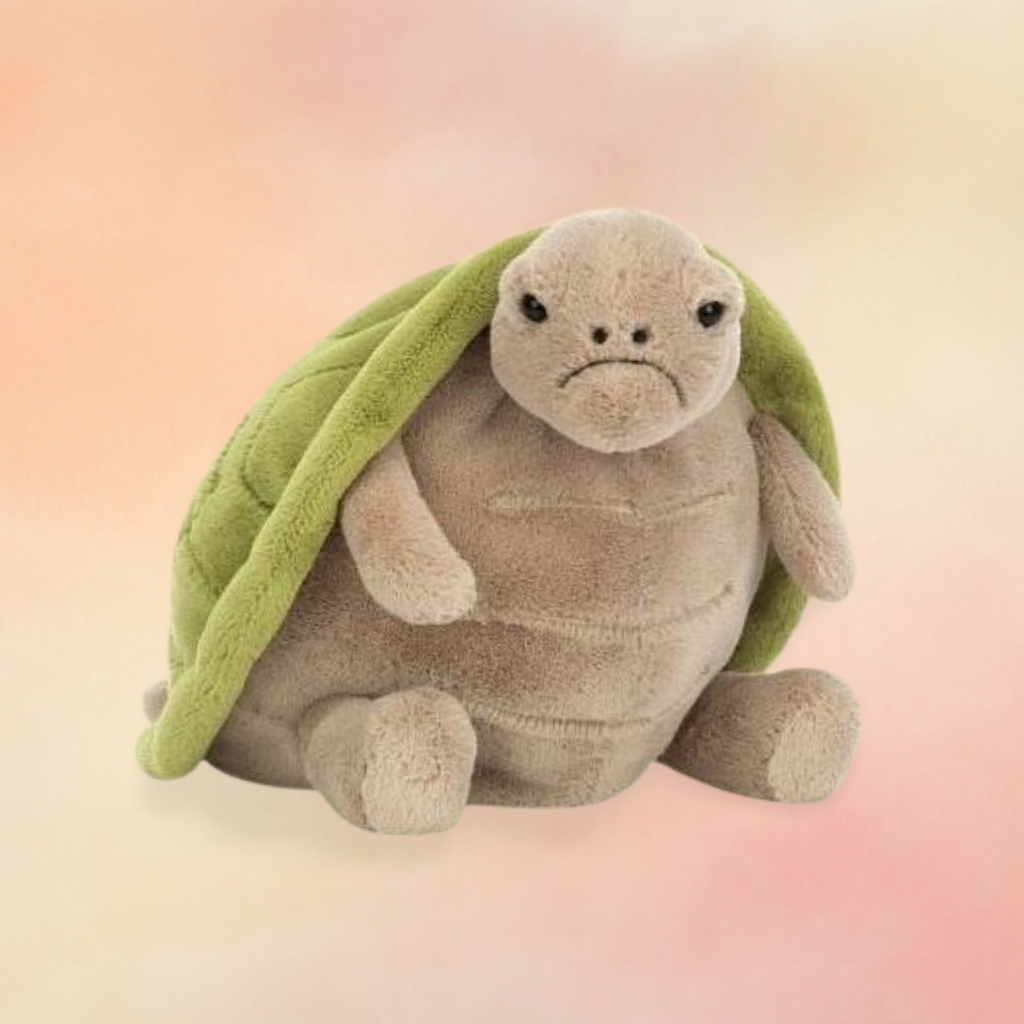 Timmy Turtle | Amphibians & Reptiles Collection