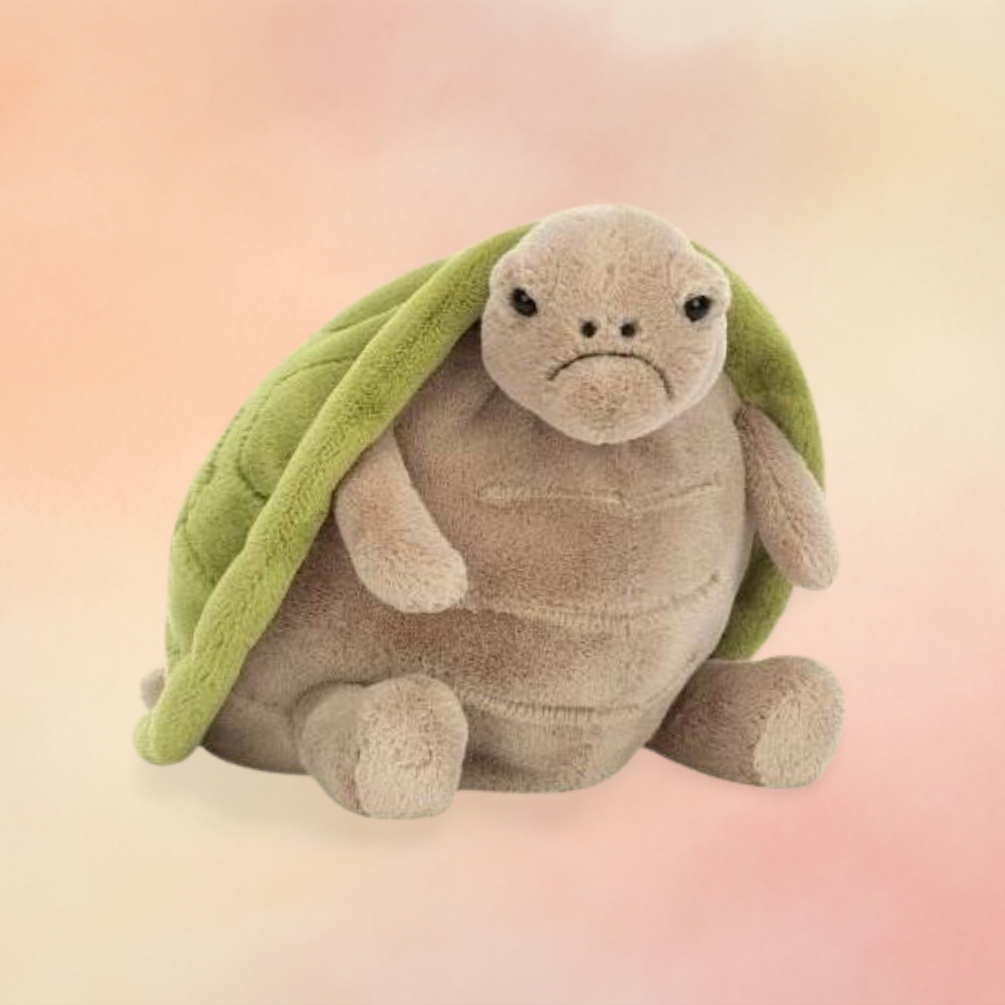 Timmy Turtle | Amphibians & Reptiles Collection