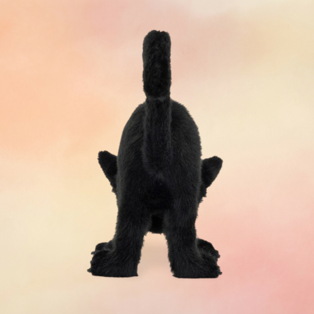 Spookipaws Cat | Cats & Kittens Collection