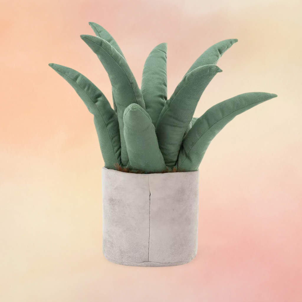 Amuseables Aloe Vera | Amuseables Collection
