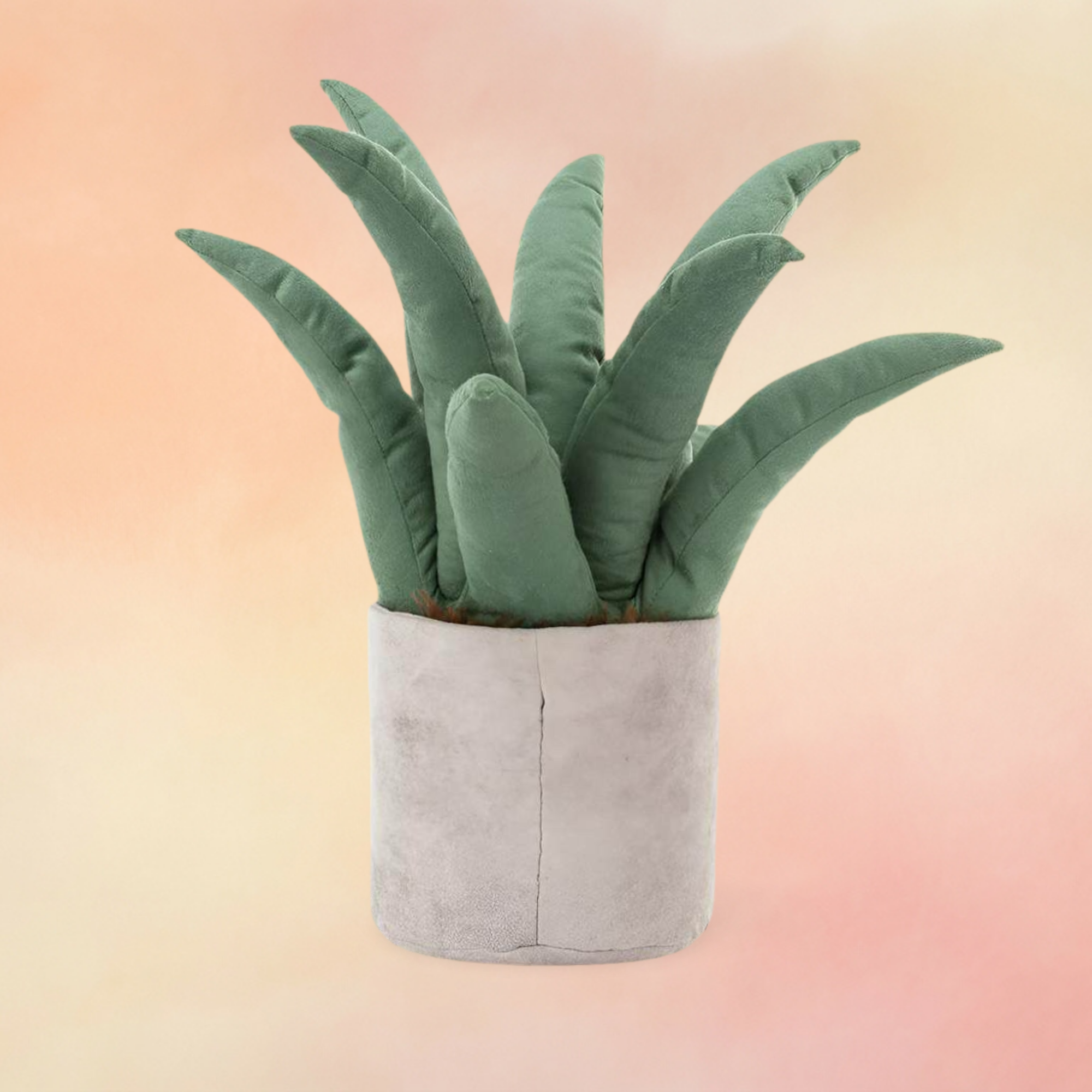 Amuseables Aloe Vera | Amuseables Collection
