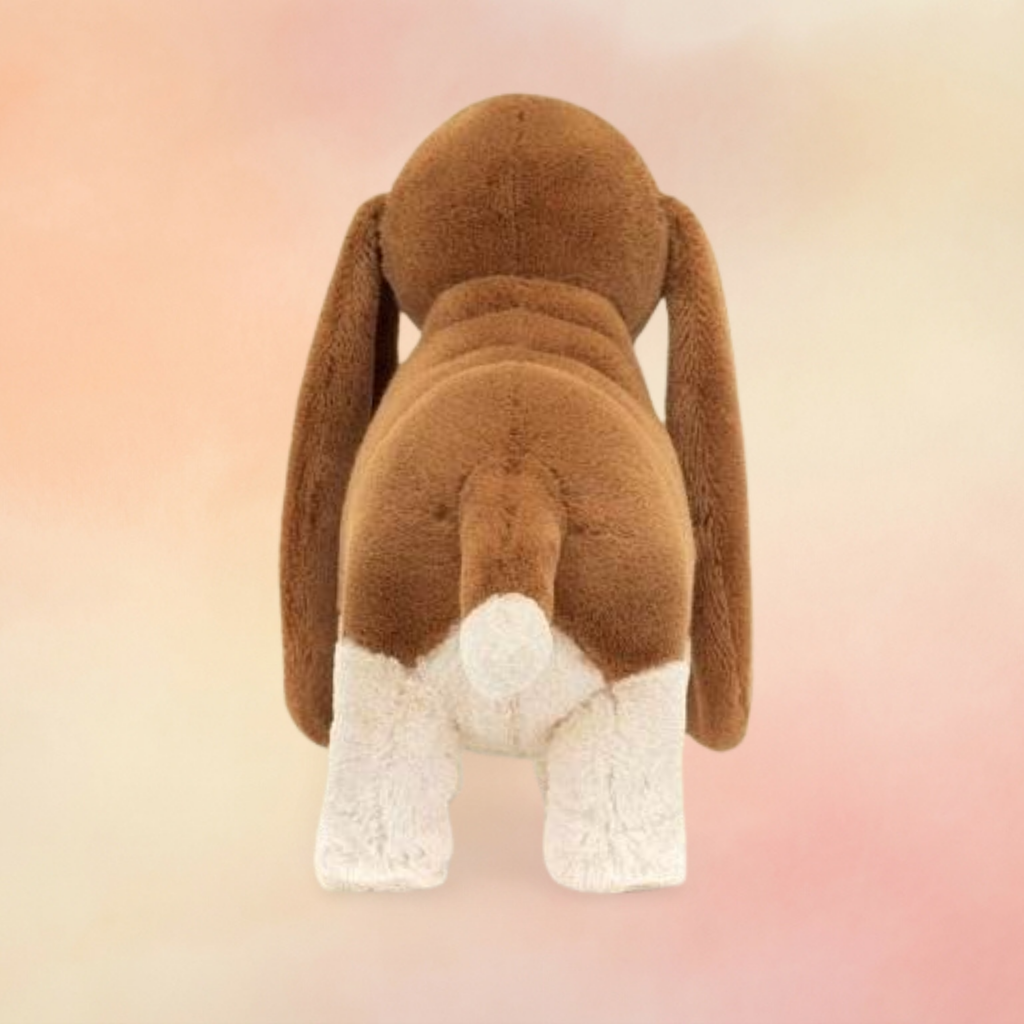 Randall Basset Hound | Dogs & Puppies Collection
