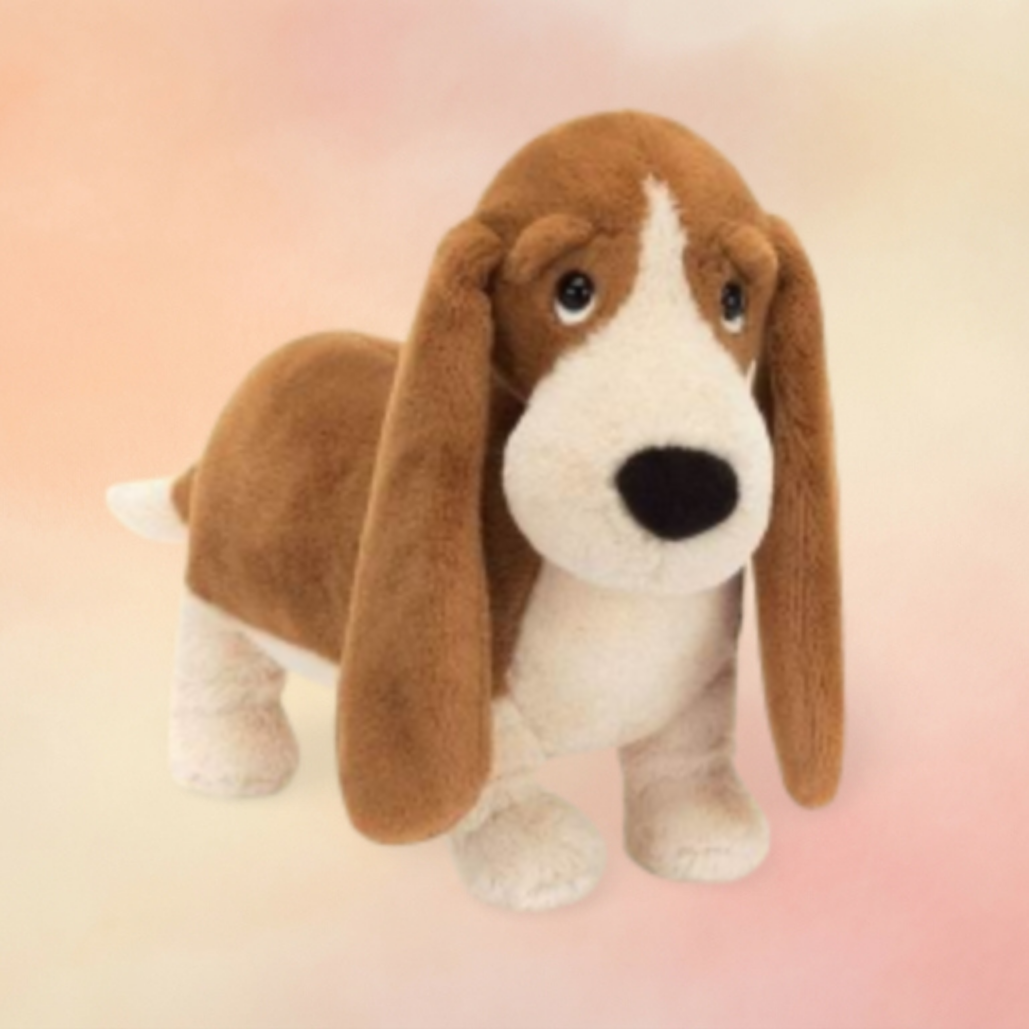 Randall Basset Hound | Dogs & Puppies Collection