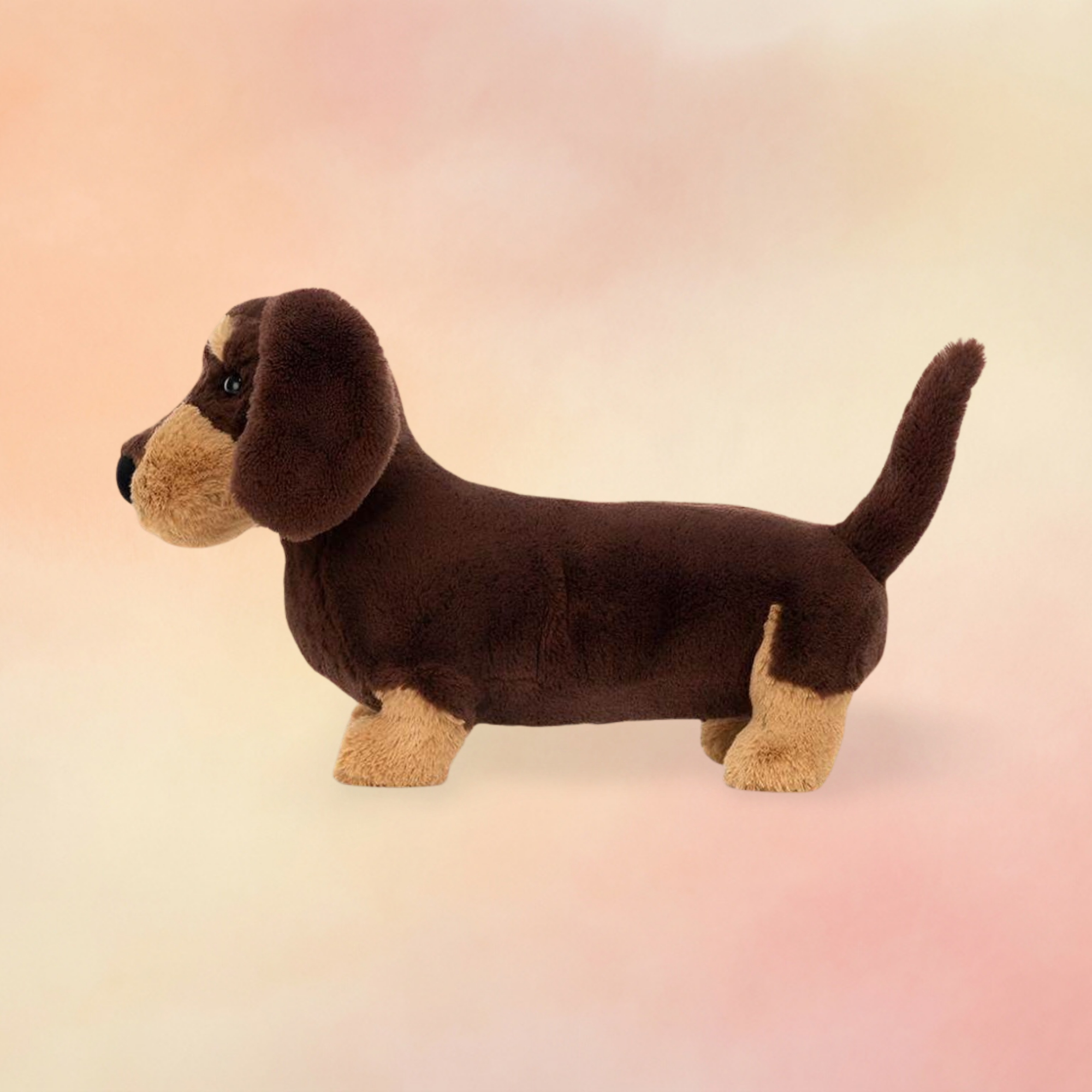 Otto Sausage Dog | Dogs & Puppies Collection