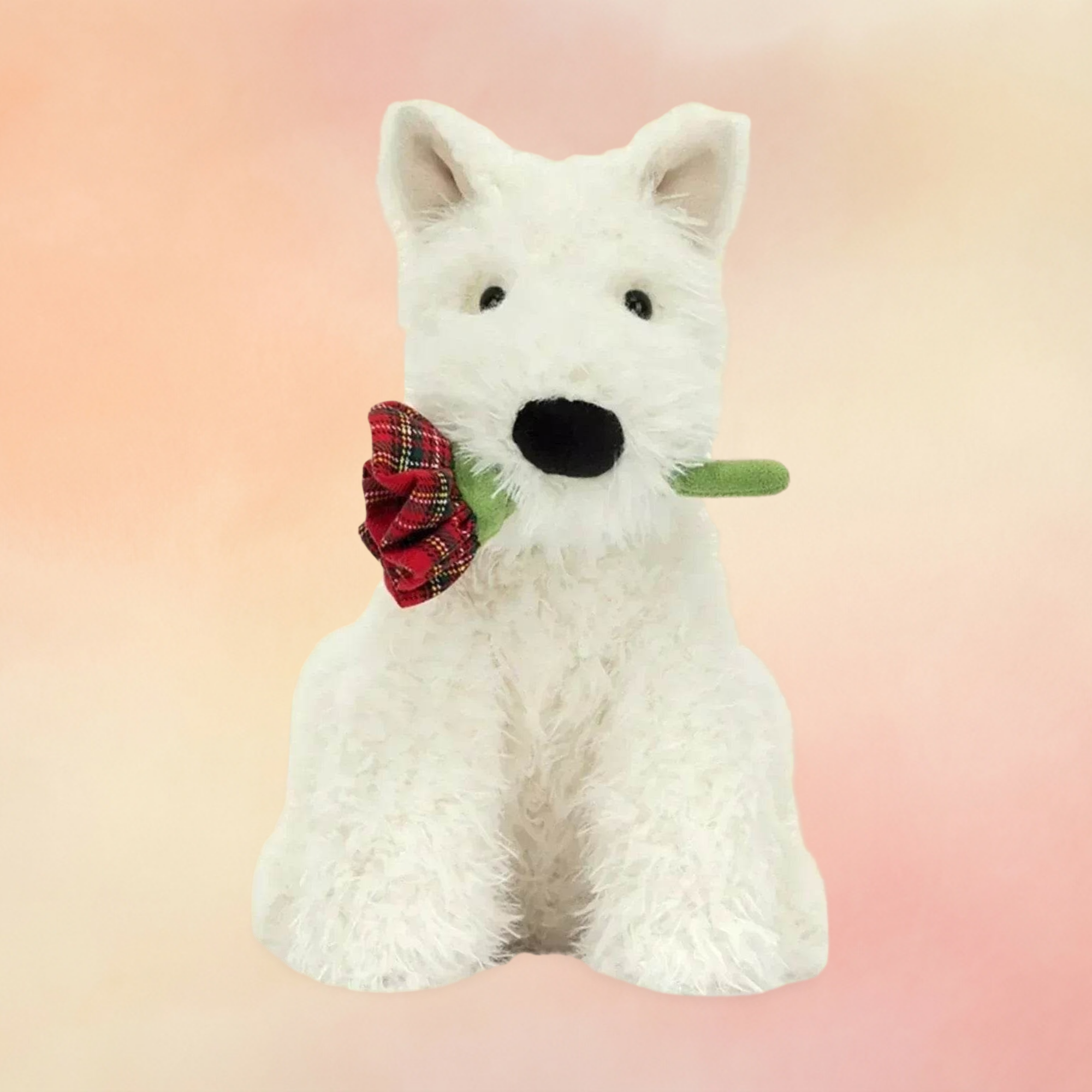 Munro Scottie Dog Valentines Rose | Dogs & Puppies Collection