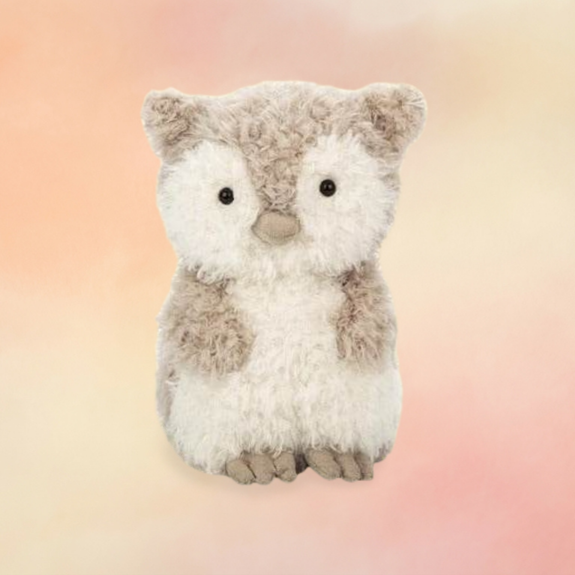 Little Owl | Birds Collection