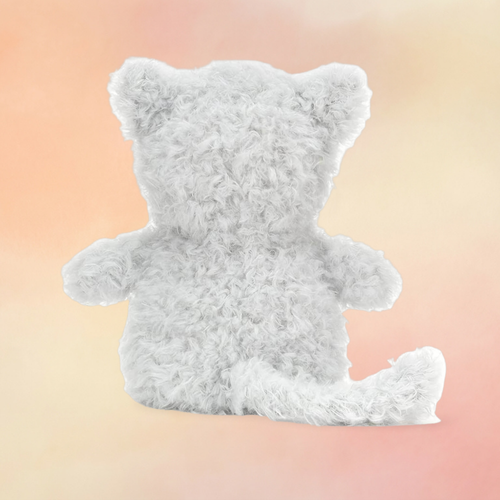 Little Kitten | Cats & Kittens Collection