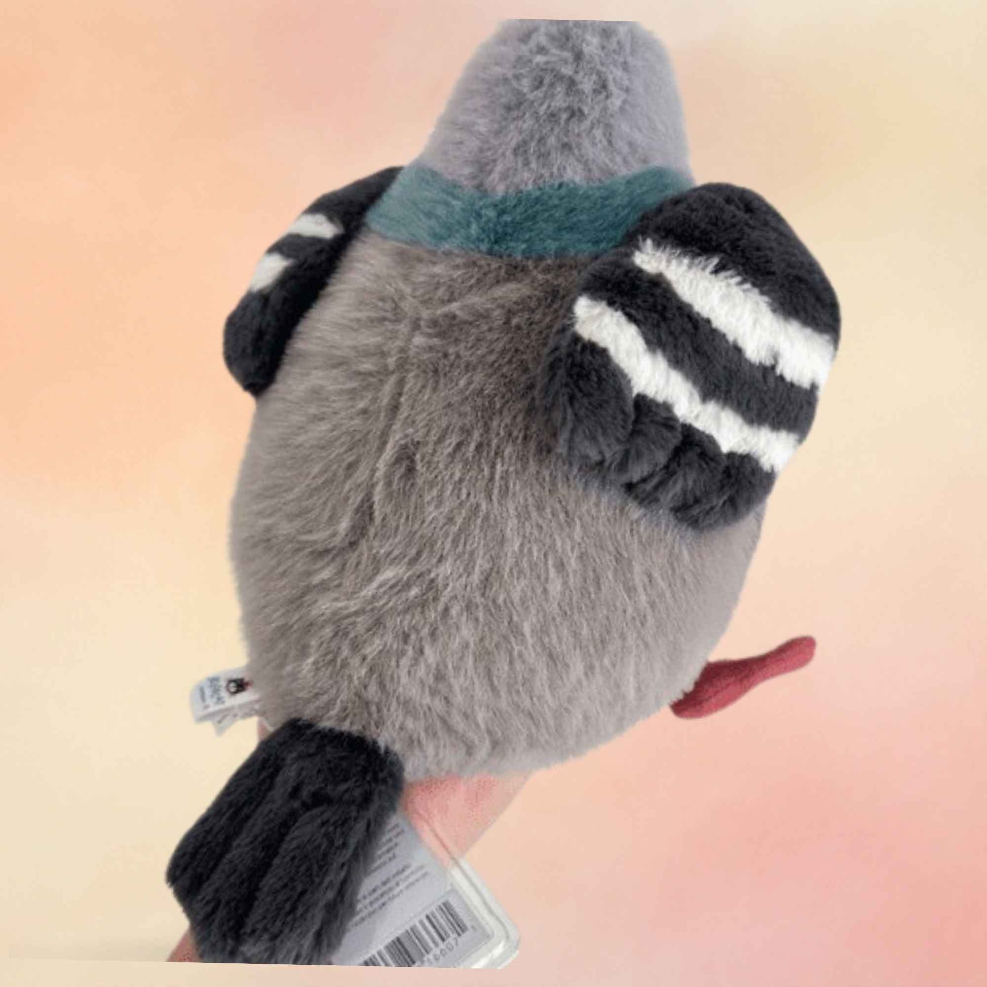 Leicester Pigeon | Farm Animals Collection