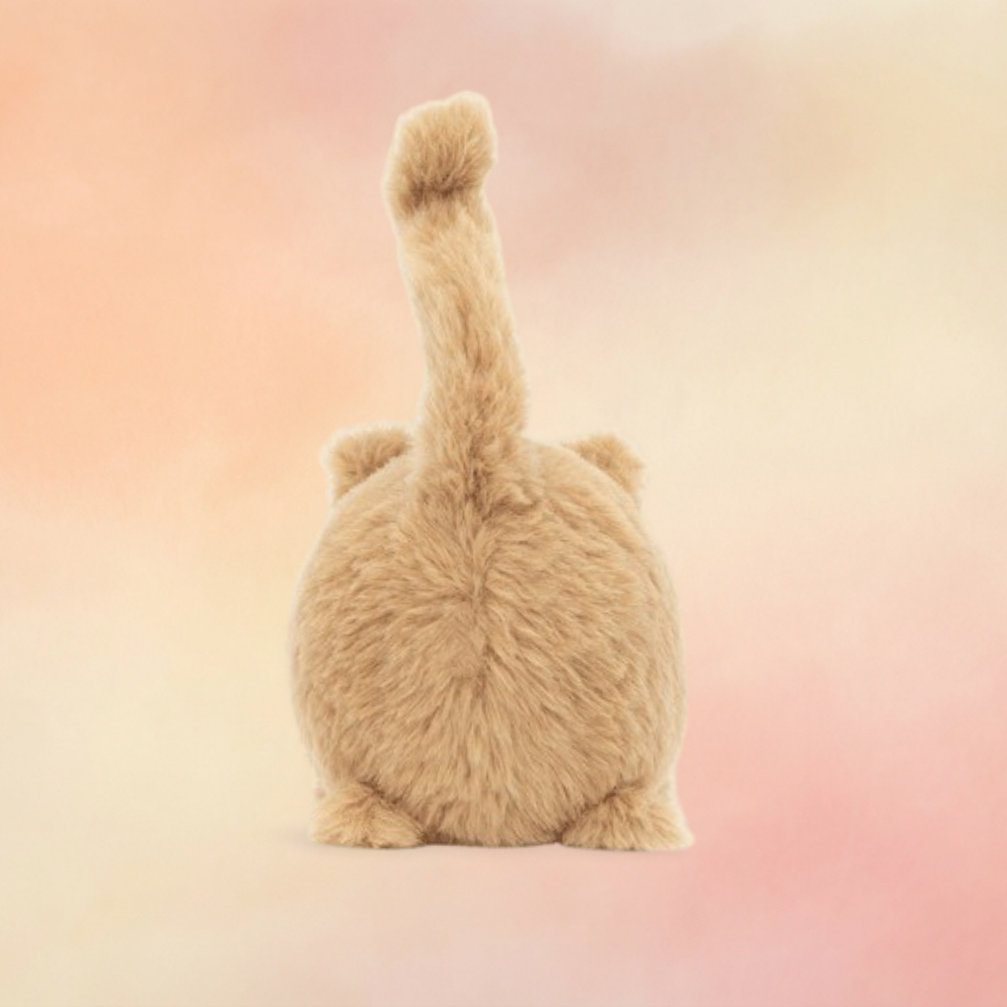 Kitten Caboodle Ginger | Cats & Kittens Collection