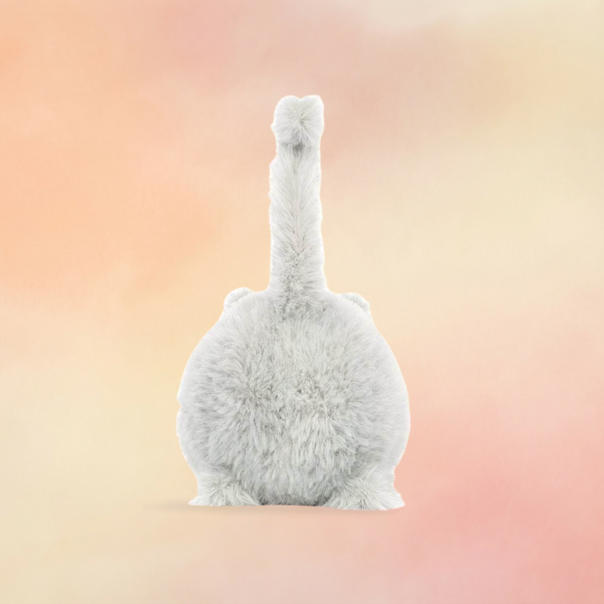 Kitten Caboodle | Cats & Kittens Collection