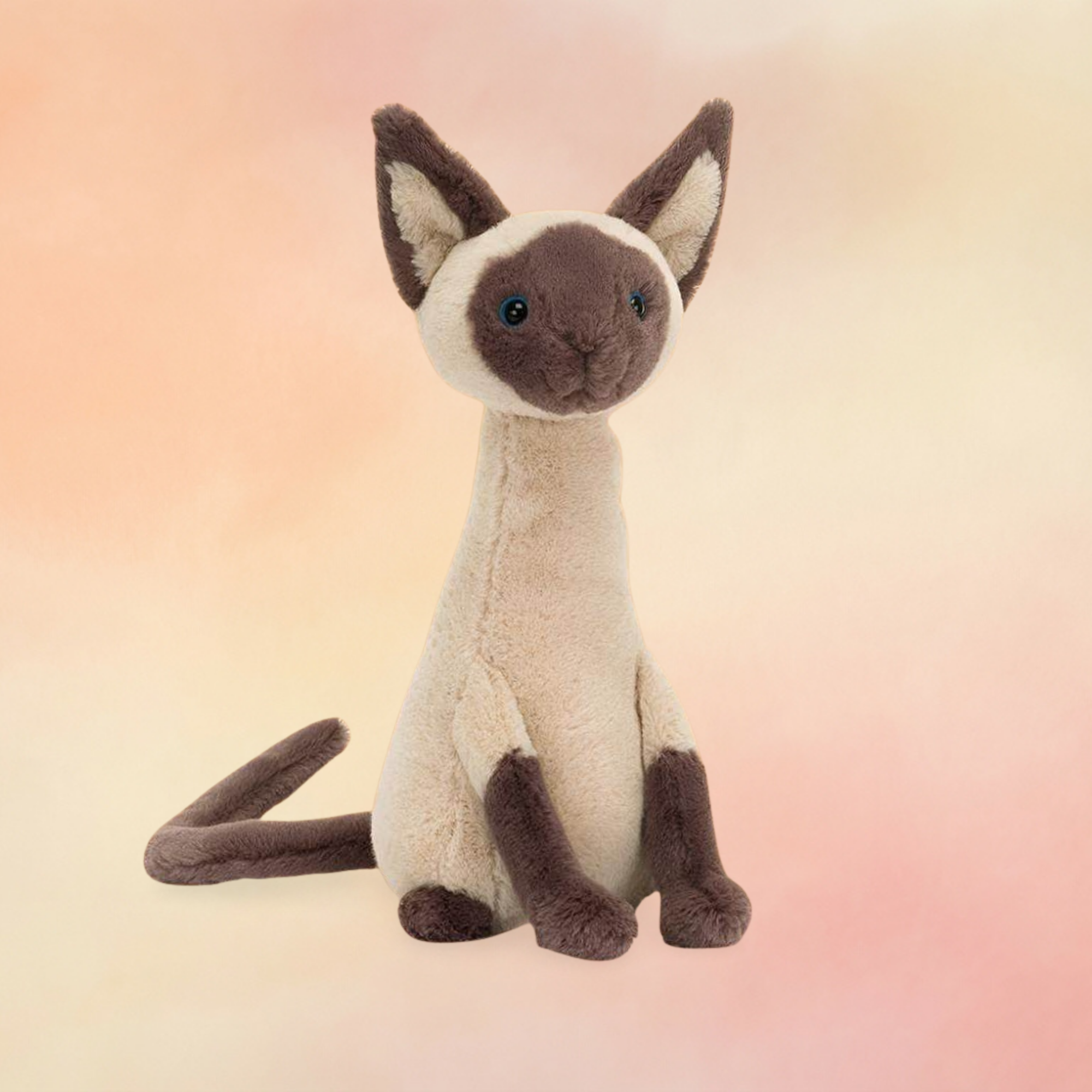 Iris Siamese Cat | Cats & Kittens Collection