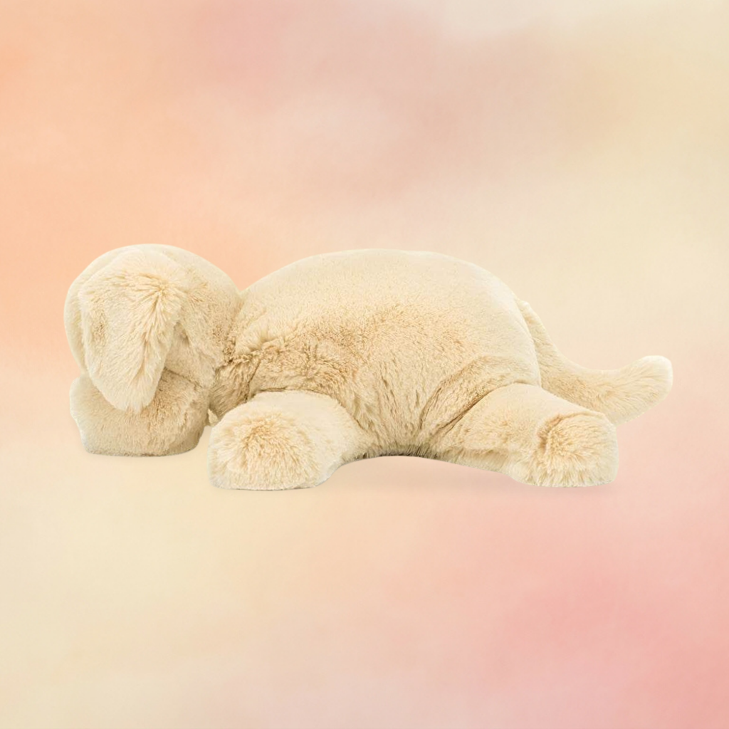 Wanderlust Puppy | Dogs & Puppies Collection