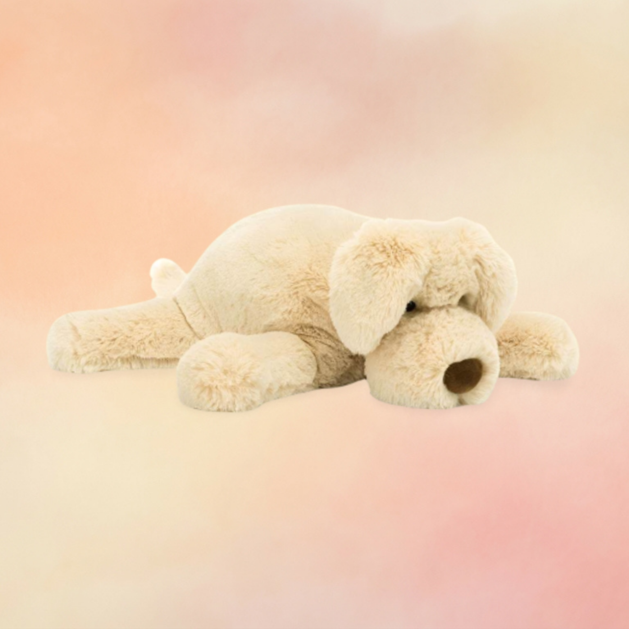 Wanderlust Puppy | Dogs & Puppies Collection