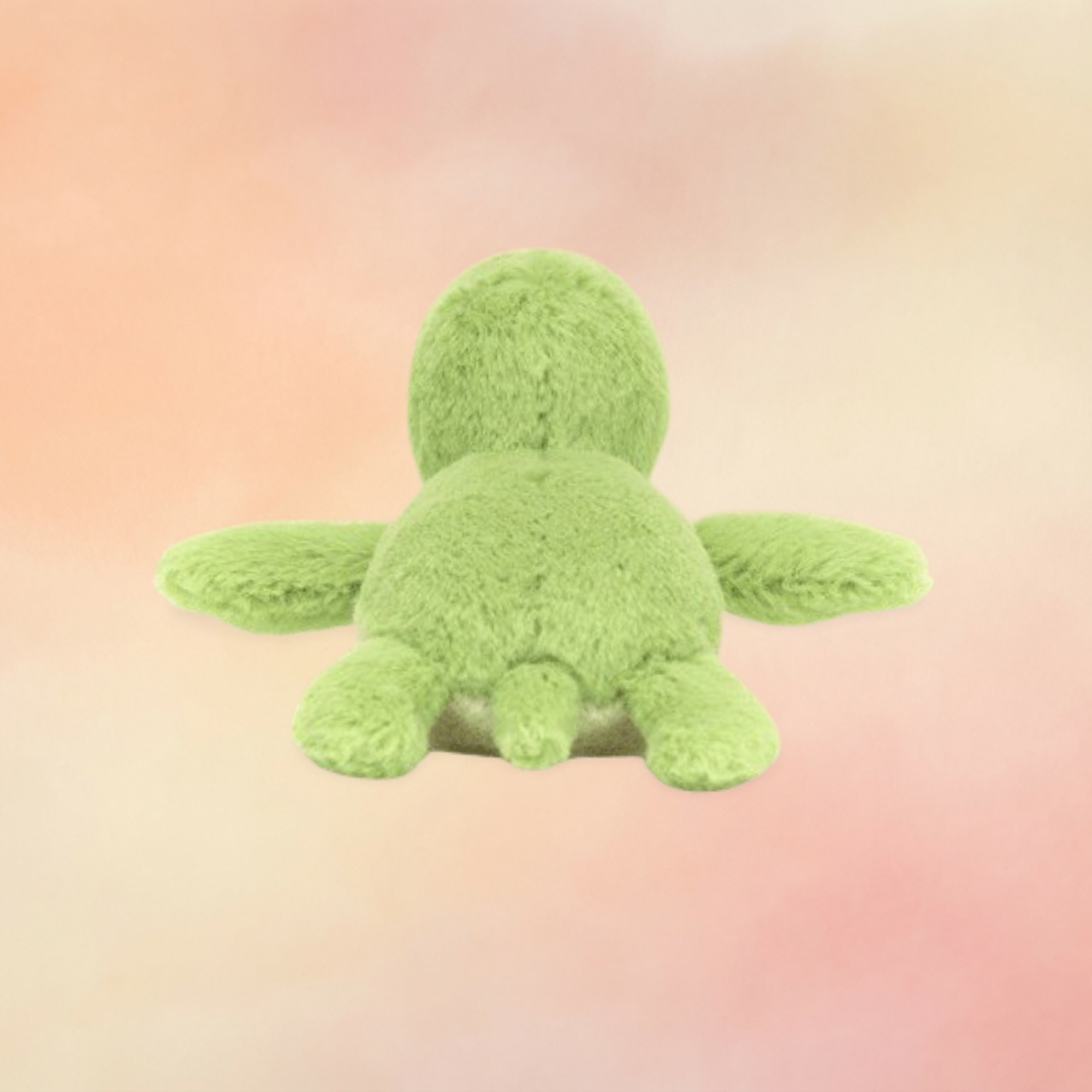 Fluffy Turtle | Amphibians & Reptiles Collection