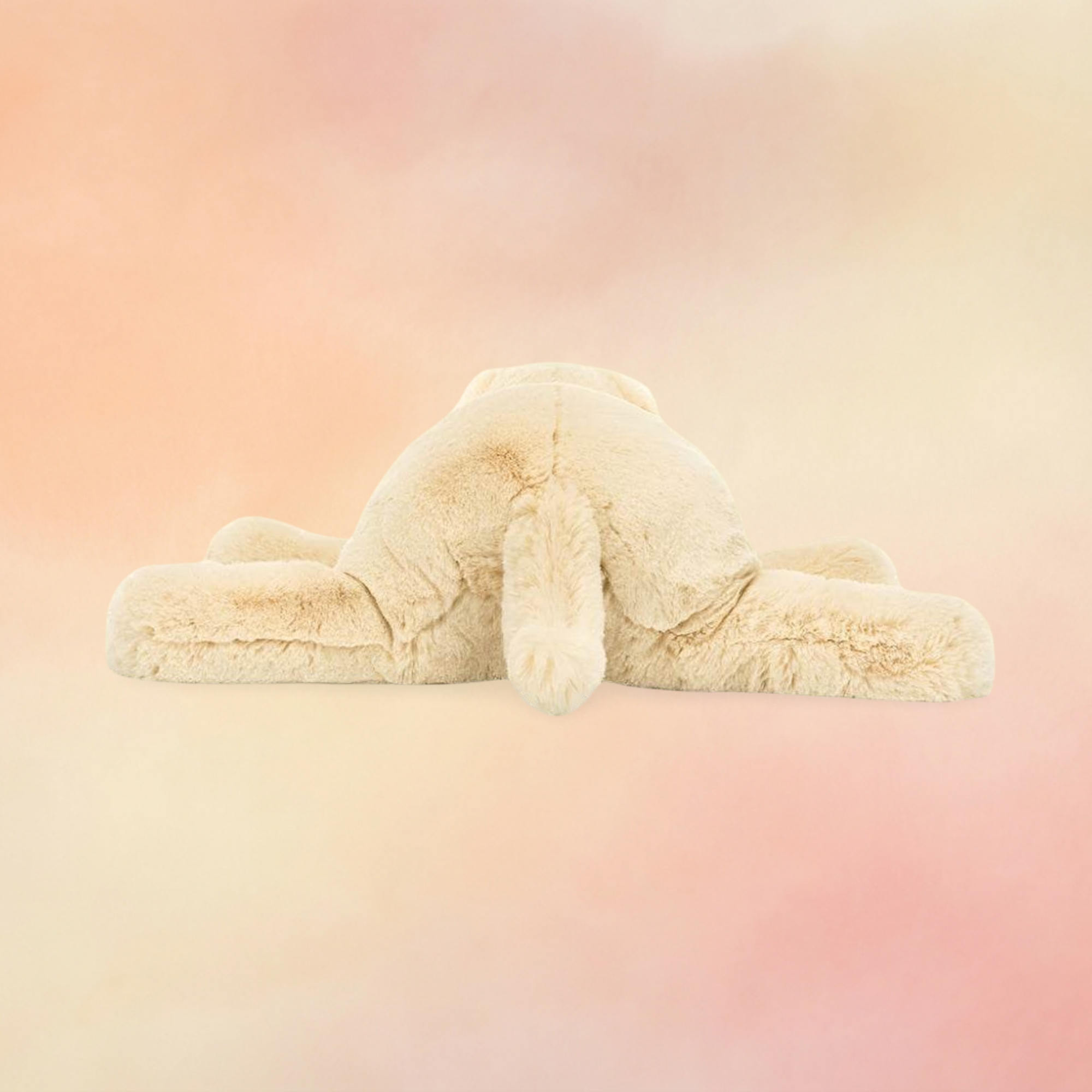 Wanderlust Puppy | Dogs & Puppies Collection