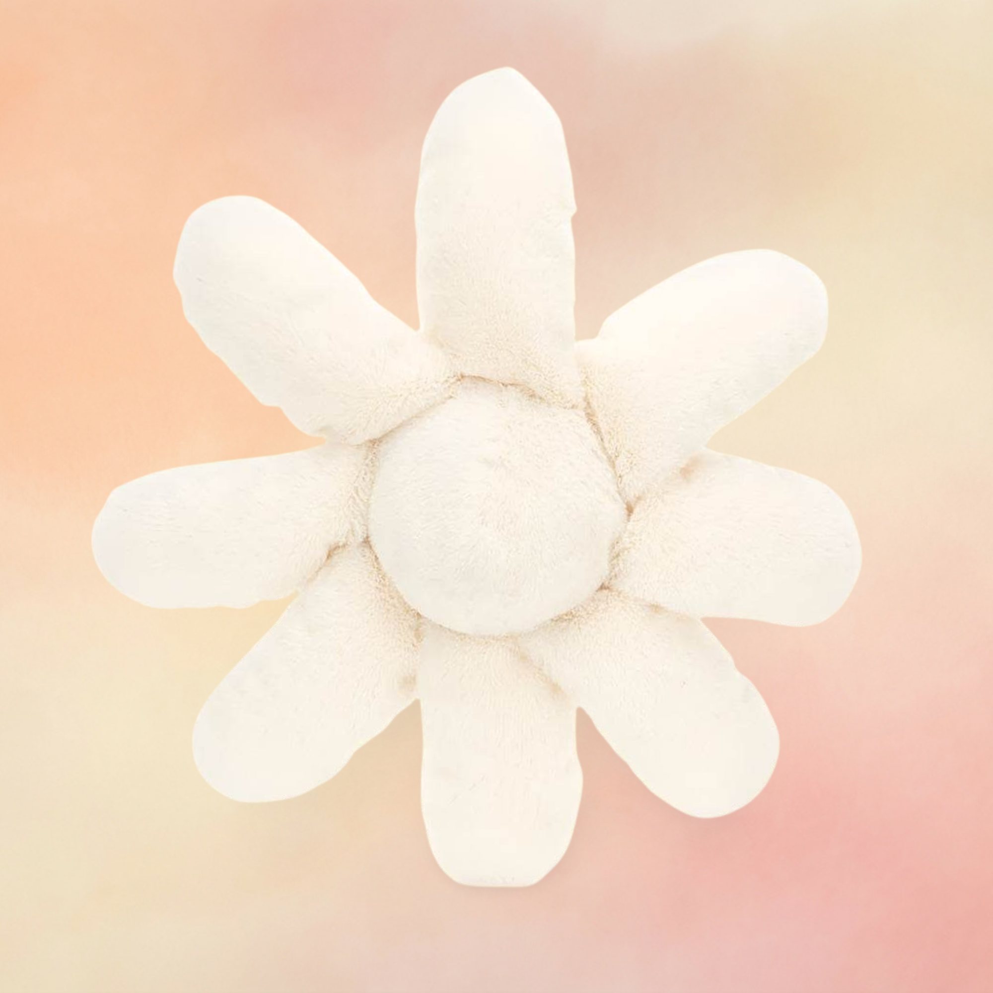 Fleury Daisy | Amuseables Plants & Woodland