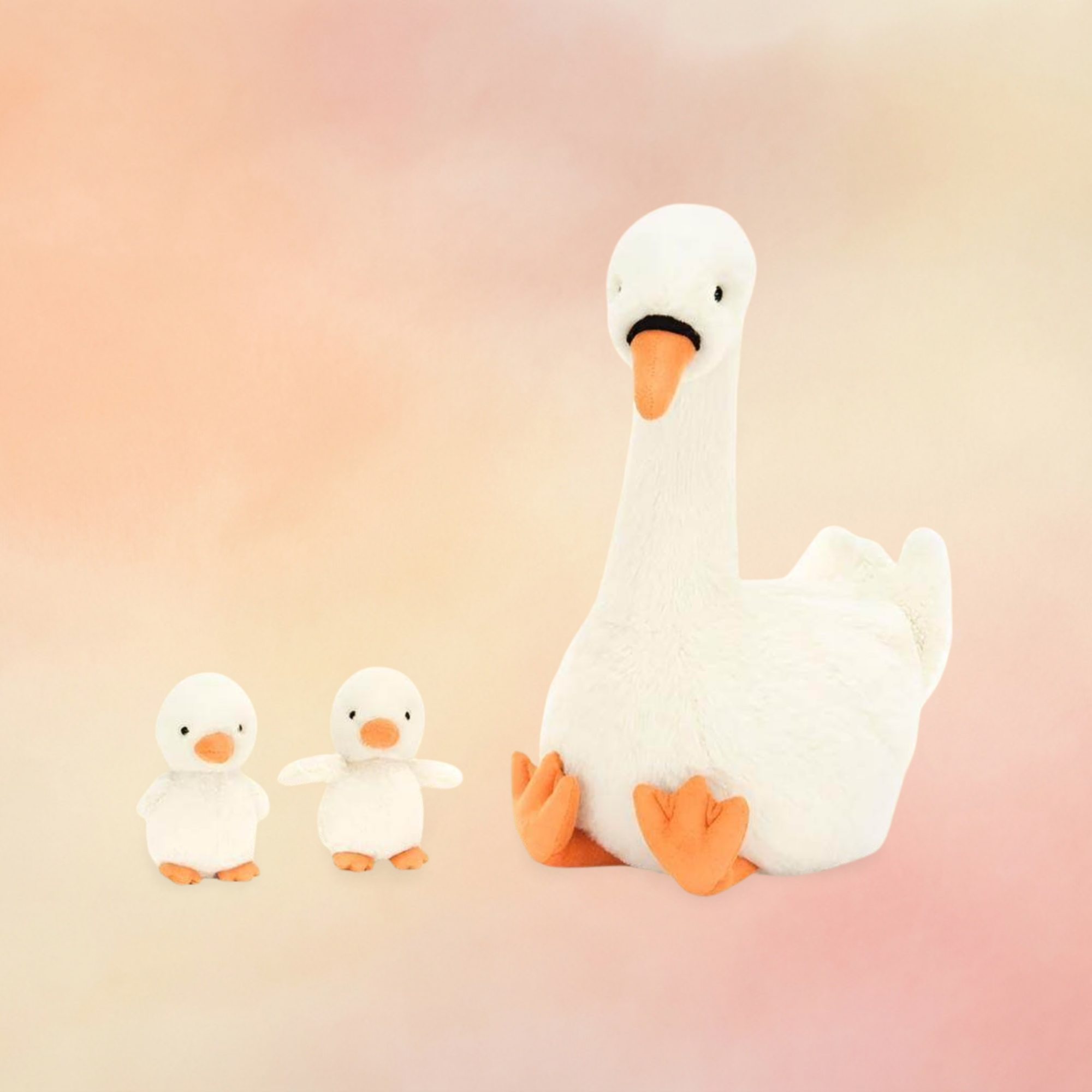 Featherful Swan | Birds Collection