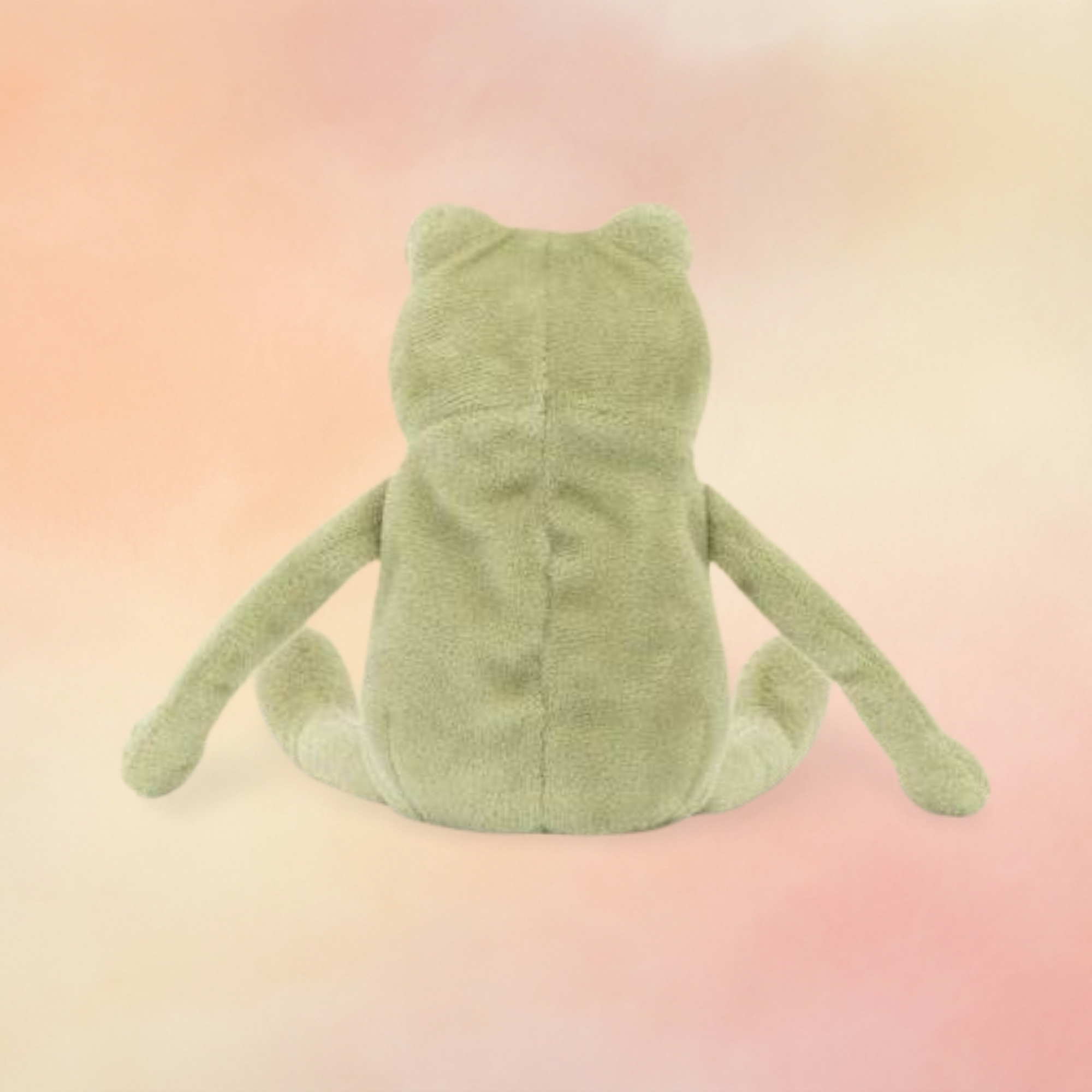 Fergus Frog | Amphibians & Reptiles Collection