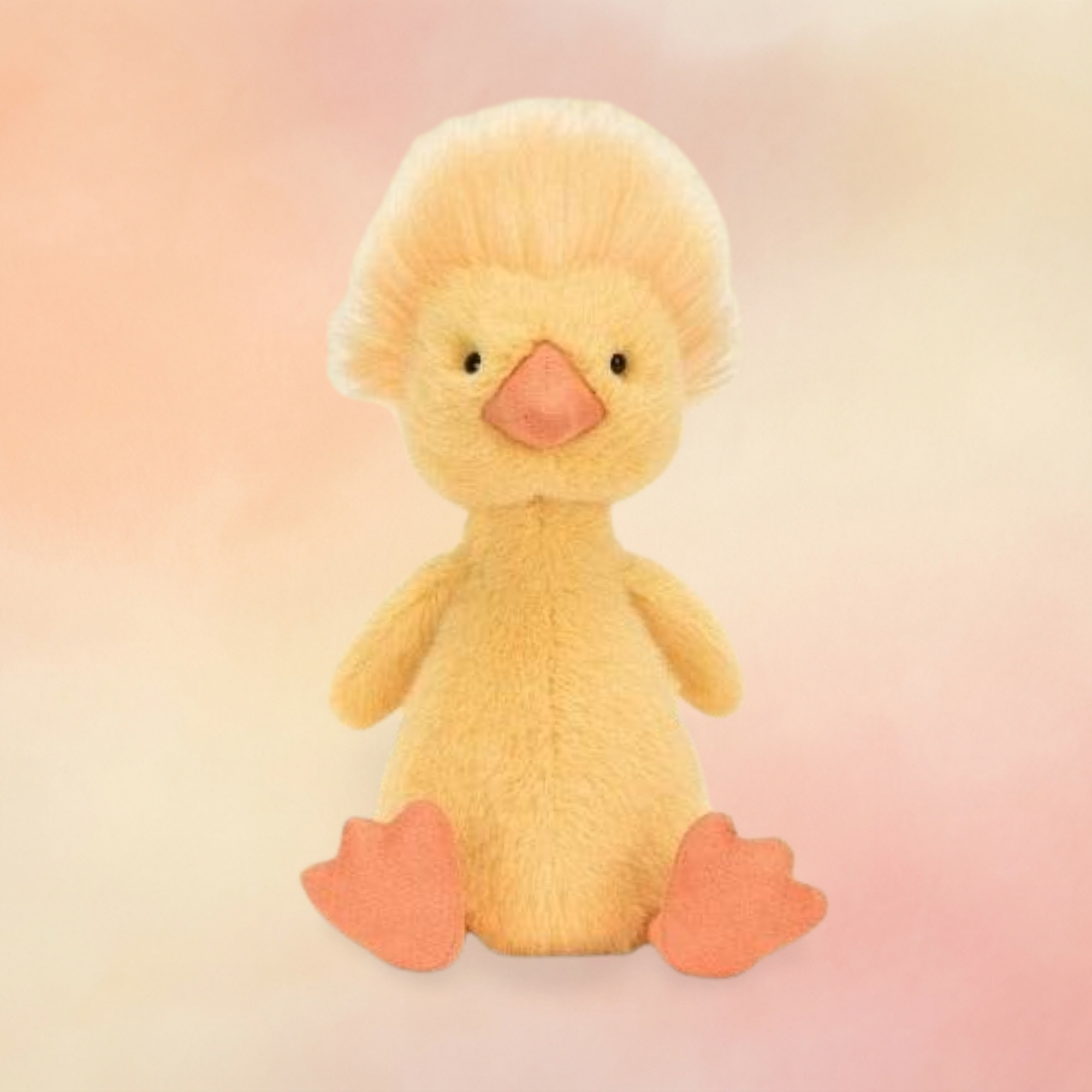 Dorit Duckling | Birds Collection