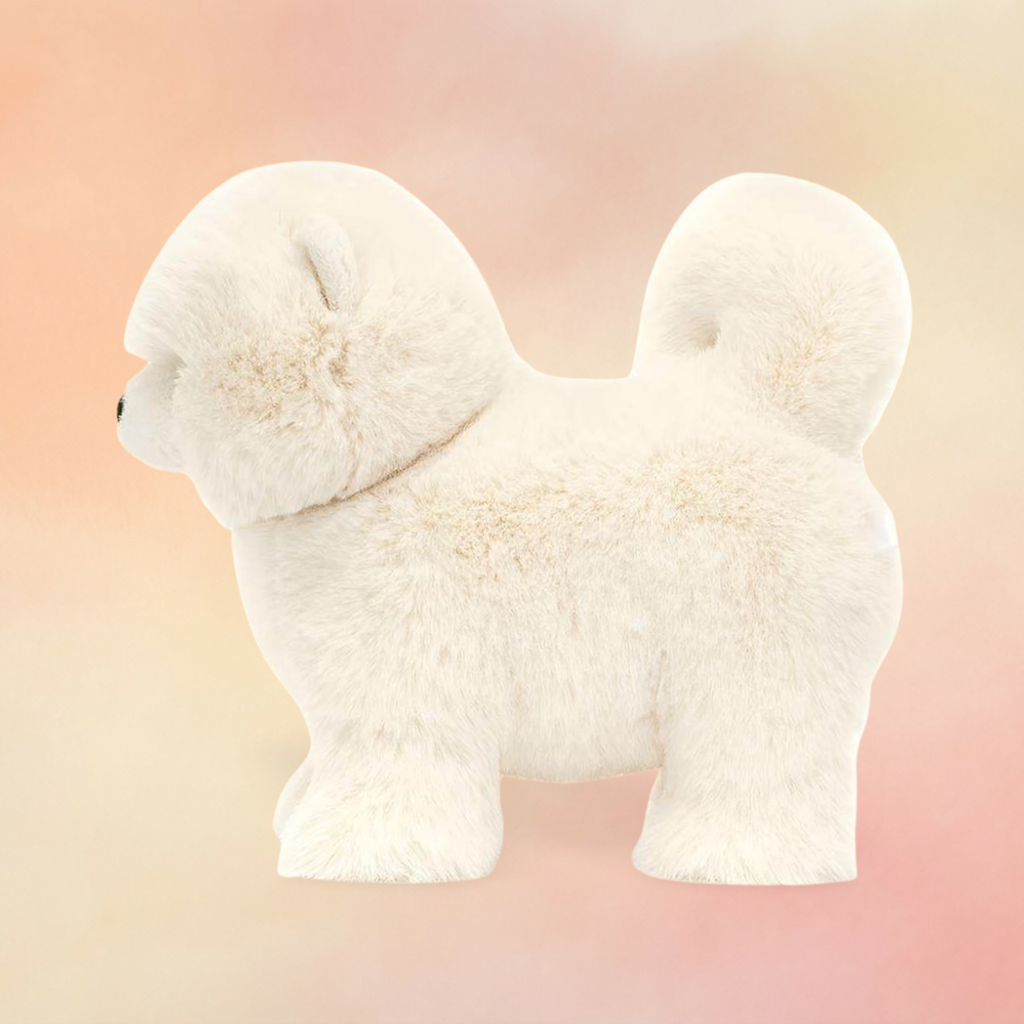 Daphne Pomeranian | Dogs & Puppies Collection