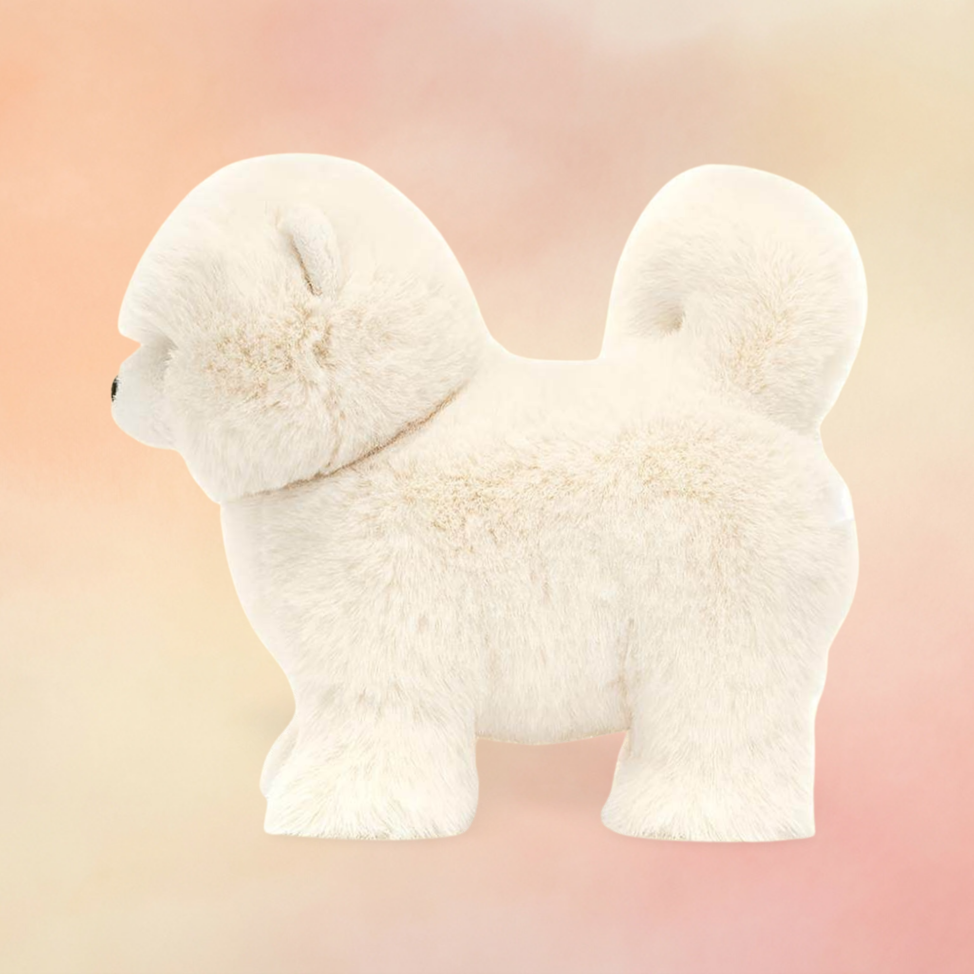 Daphne Pomeranian | Dogs & Puppies Collection