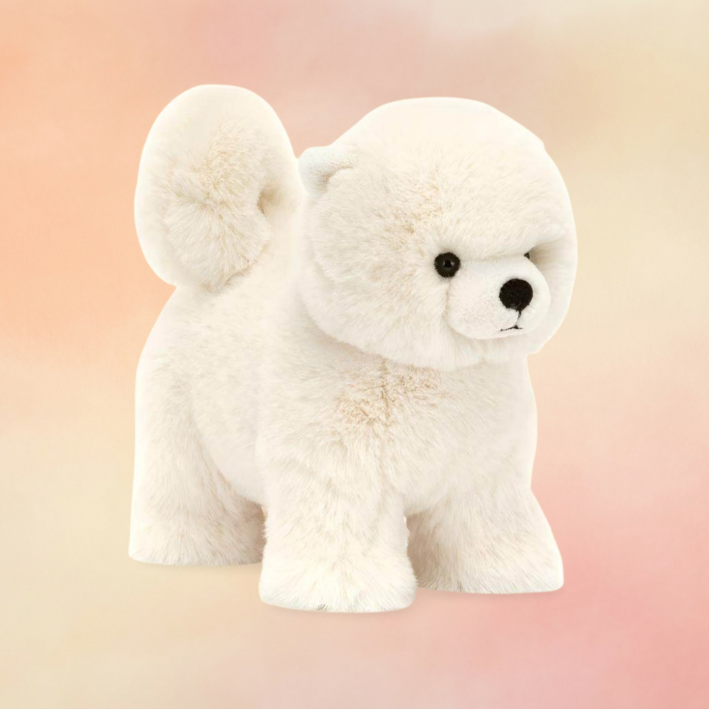 Daphne Pomeranian | Dogs & Puppies Collection