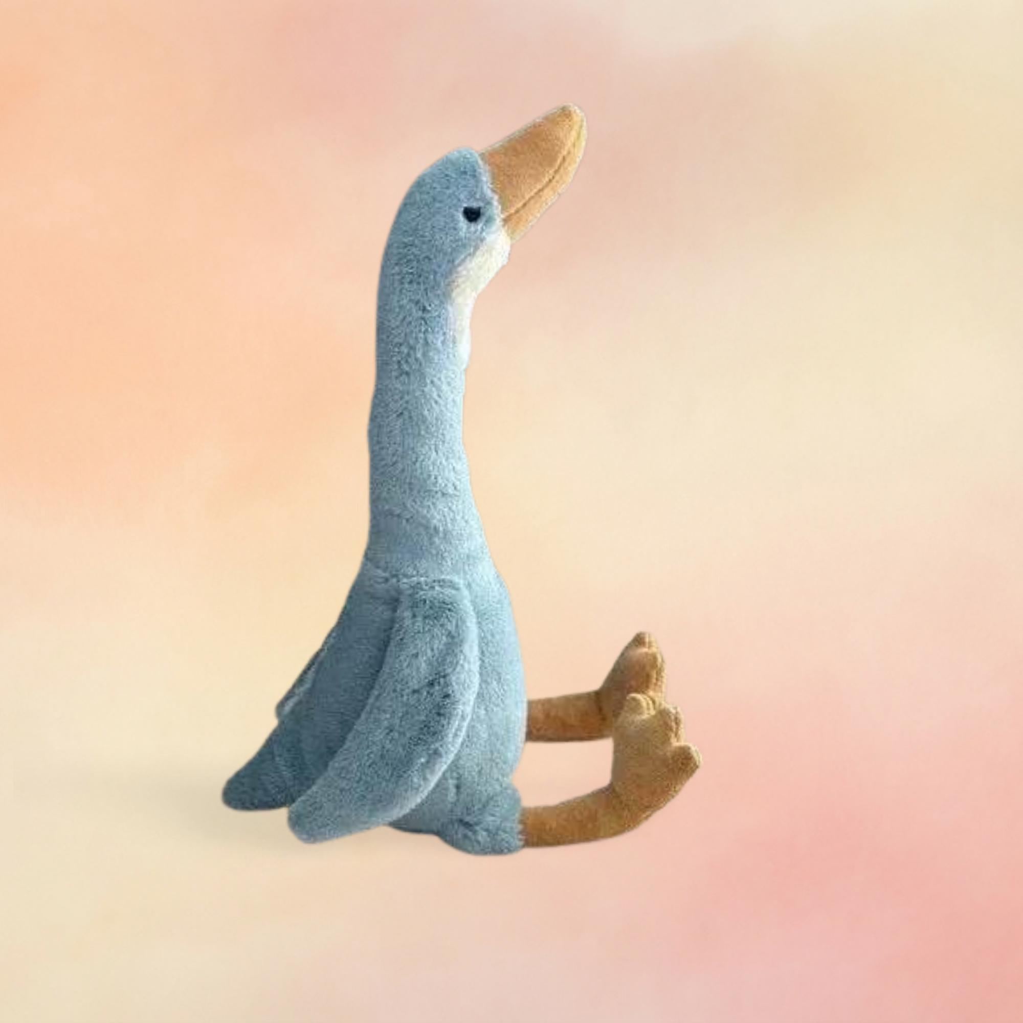 Daisy Runner Duck | Birds Collection