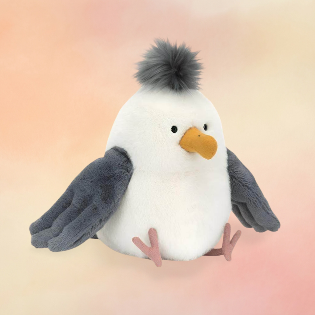 Chip Seagull | Birds Collection