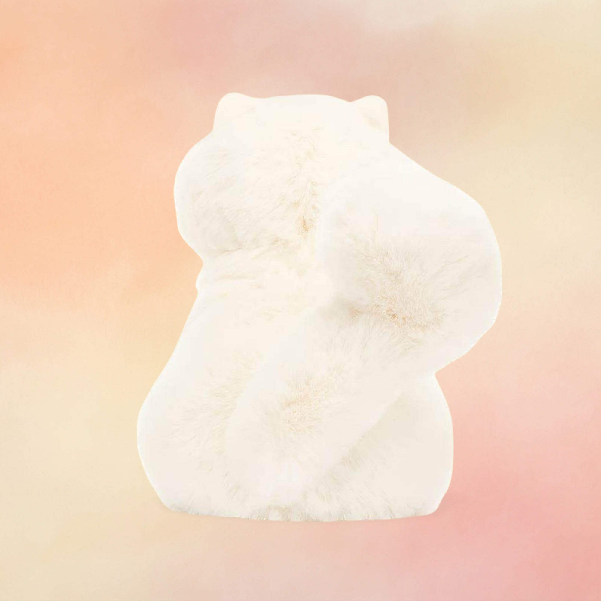 Carissa Persian Cat | Cats & Kittens Collection