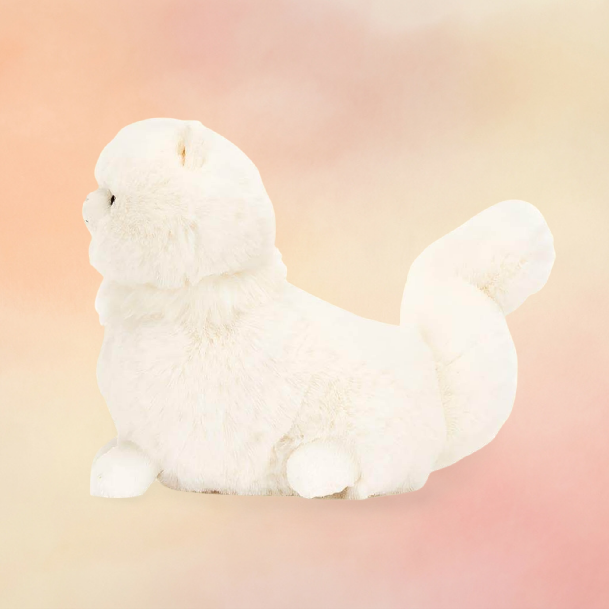 Carissa Persian Cat | Cats & Kittens Collection