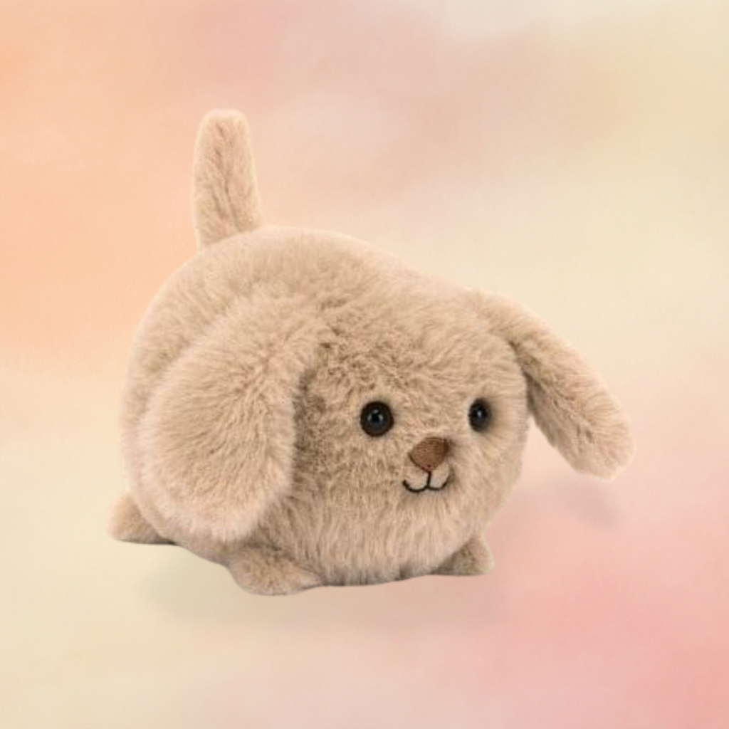Caboodle Puppy | Dogs & Puppies Collection