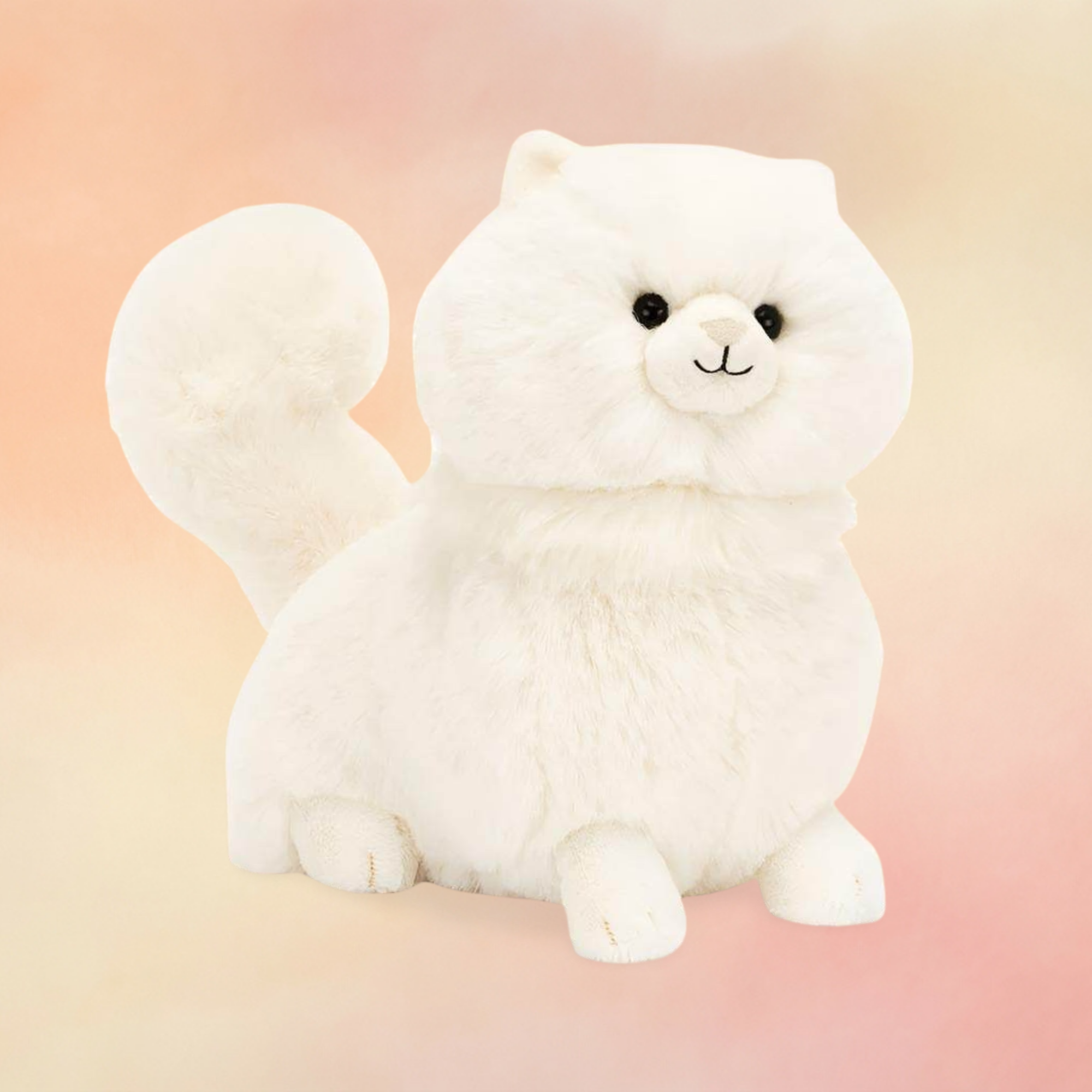 Carissa Persian Cat | Cats & Kittens Collection