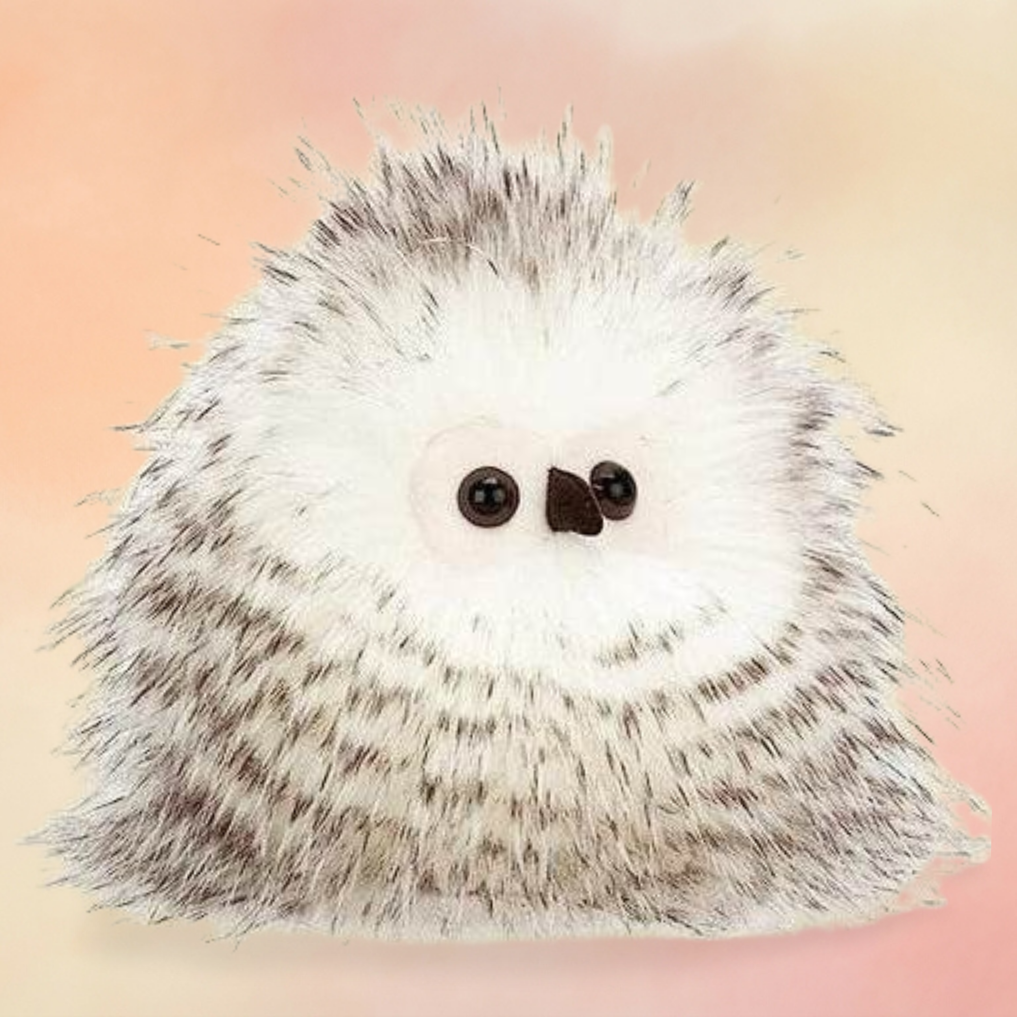 Bertie Owlet | Birds Collection