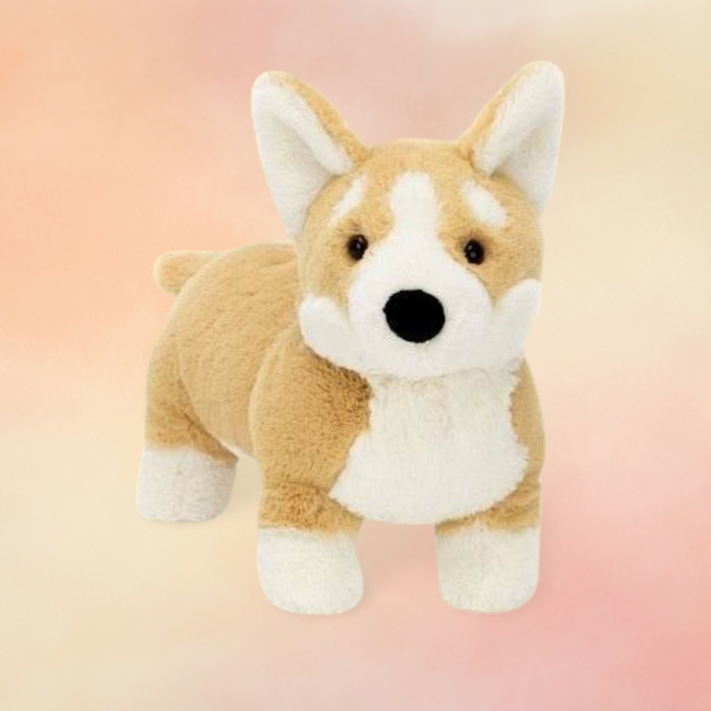 Betty Corgi | Dogs & Puppies Collection